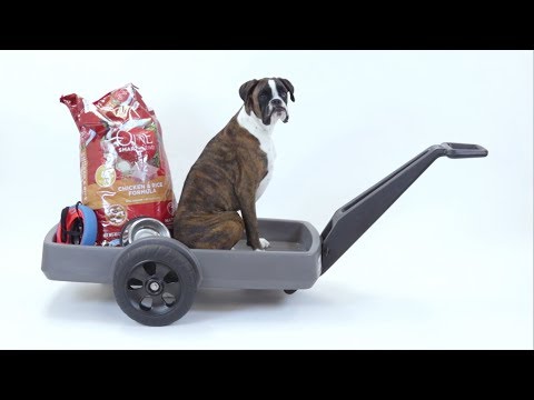 So Many Uses! | Easy Haul Flat Bed Cart | American Home by Simplay3