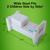 Sibling Step Stool