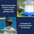 Raised base prevents chicken scratch from entering, lid keeps out unwanted debris