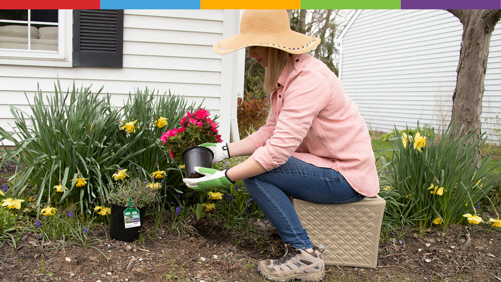 Top 5 Spring Veggie Dishes for Mother’s Day