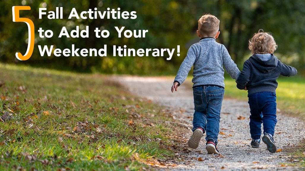 5 Fall Activities to Add to Your Weekend Itinerary 