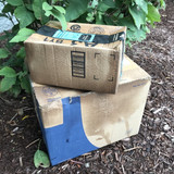 Protected and Collected